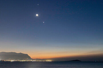 什么是生物的种和界？